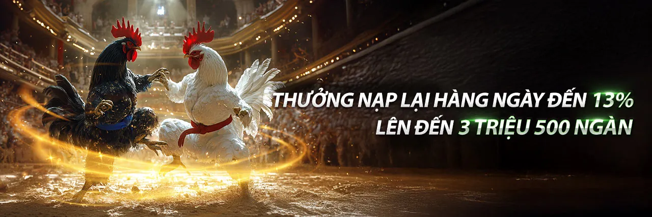 Đá gà trực tuyến tại neo79 link